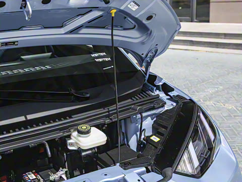 2024�� ��ҫ�� 305km ���ɰ�