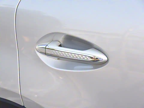 2025�� 2.0T ��������Pro��