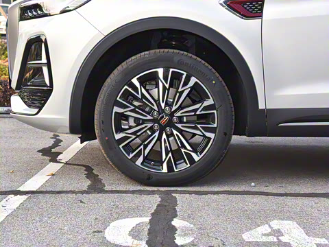 2025�� 2.0T ��������Pro��