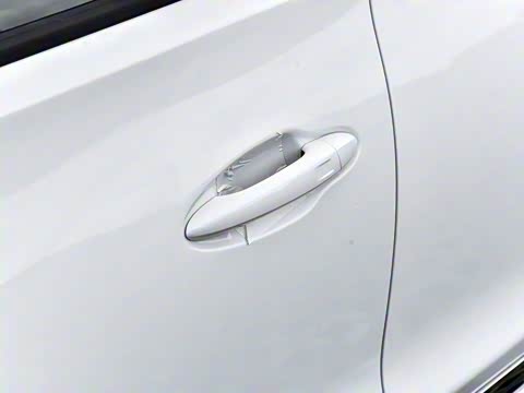 2024�� ������ 290TGDI �Զ����+�� 5��