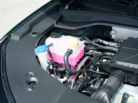 2025�� 210 ������