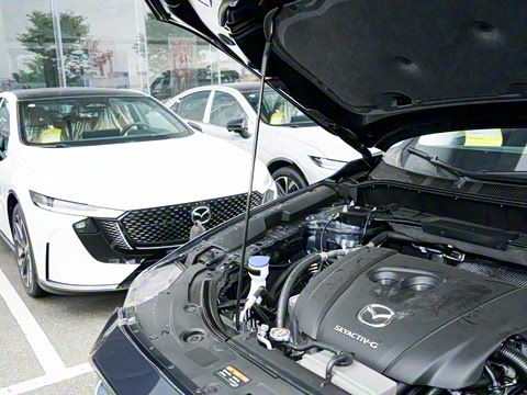 2025�� 2.0L �Զ�����������