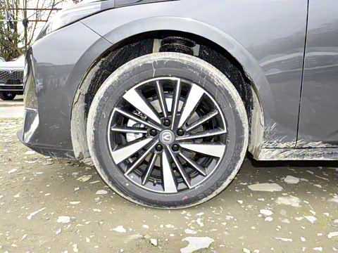 2025�� �ǻ������� 145KM ս����