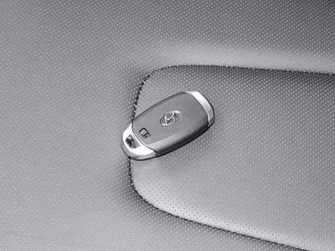 2024�� 270TGDi LUX ����