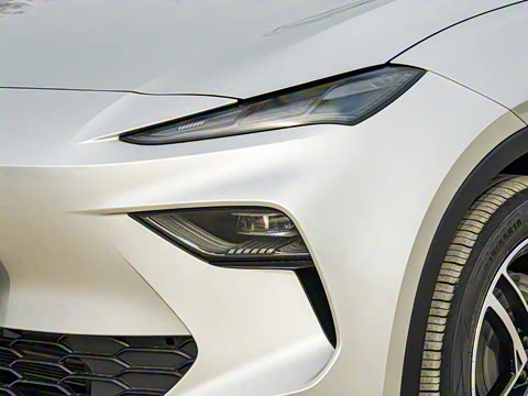 2025�� 425plus ������