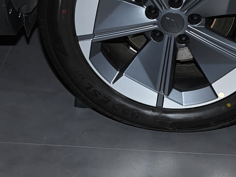 2025�� ��������