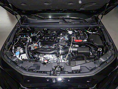 2025�� �˶�ϵ�� 260TURBO ����