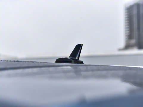 2025�� 165km ������������ 7��