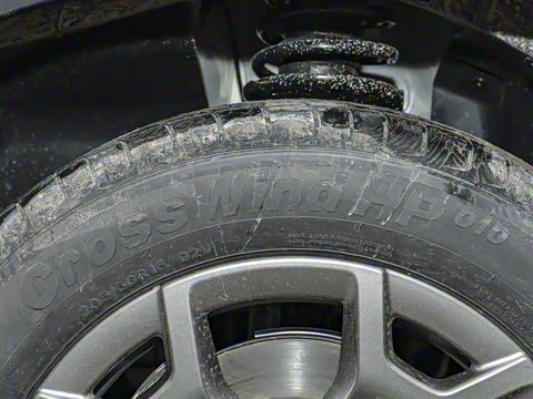 2025�� ����� 5��