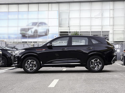 2024�� 1.5T ־Ϊ��