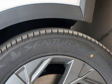 2025�� Ӱ�� 270T ������ ƽ������