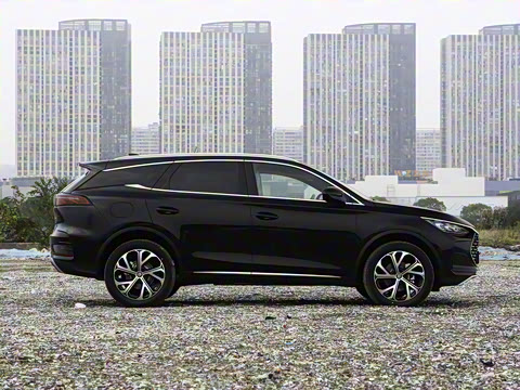 2025�� DM-i 115KM �����콢��