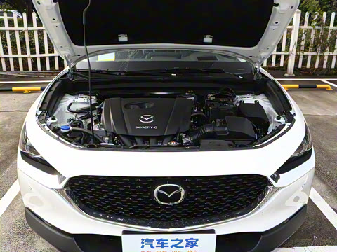 2024�� 2.0L �Զ�������