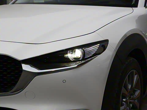 2024�� 2.0L �Զ�������