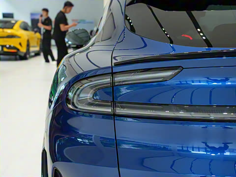 2025�� ������������������Max��