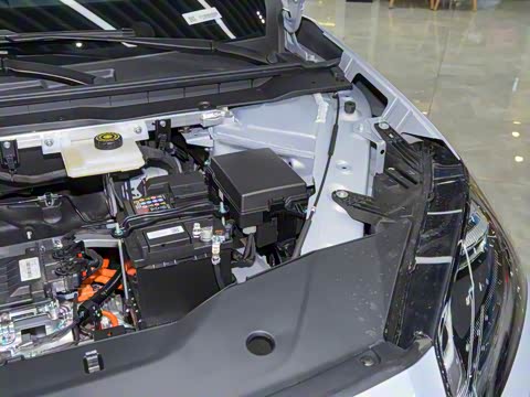 2025�� 650 ������