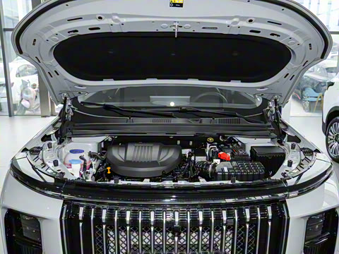 2024�� 1.6T DCT������ 7��