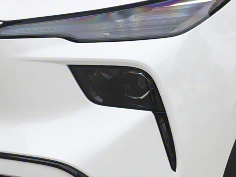 2025�� 565km ������