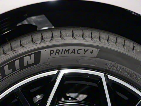 2025�� ���� ����� 230 �콢��