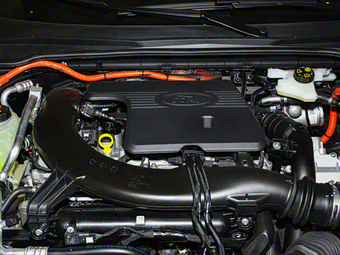 2025�� 2.0T EcoBoost E �춯 �˶���