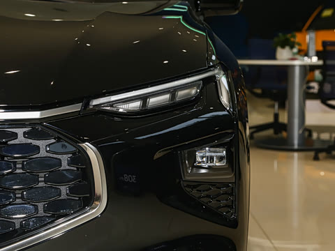 2025�� 2.0T EcoBoost E �춯 �˶���