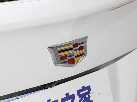 2024�� �Ŀ� 28T ����������