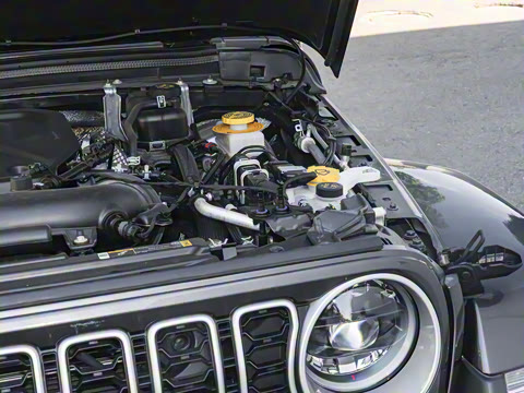 2025�� 2.0T ٪�޼�����̽����