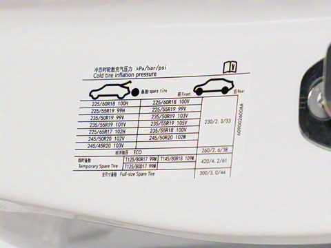 2025�� 290T ����������