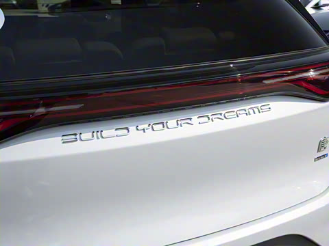 2025�� �Ǽݰ� DM-i 115KM �콢��