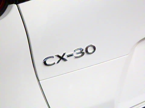 2024�� 2.0L �Զ�������