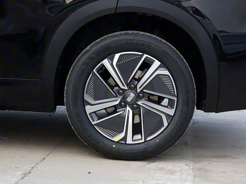 2025�� 120km ����+��