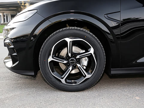 2025�� 505����Plus��