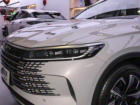 2025�� DM-i 115KM������