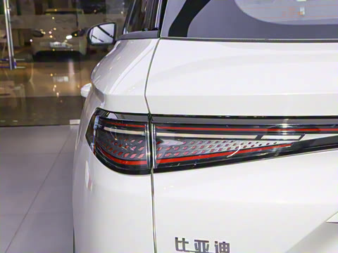 2025�� DM-i 115KM������