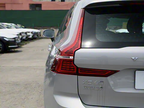 2025�� B5 �������ݺ�����