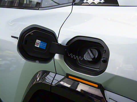 2025�� ���º����� 6��