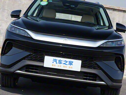 2025�� �ڶ��� DM-i 115KM׿Խ��