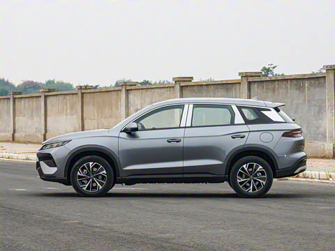 2025�� �ڶ��� DM-i 75KM������