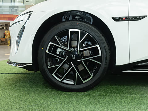 2025�� Max���̰�