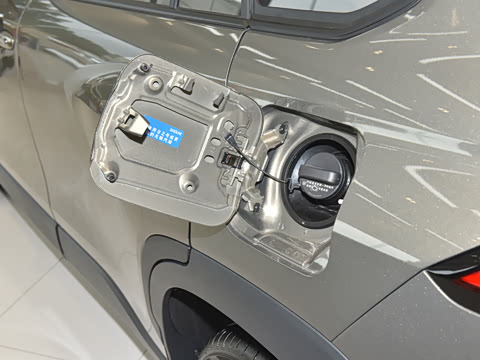 2024�� 2.0L �ȷ��