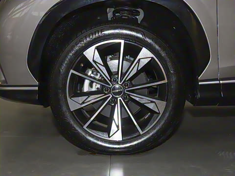 2023�� 1.5T ����������