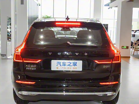 2025�� B5 �������ݺ�����