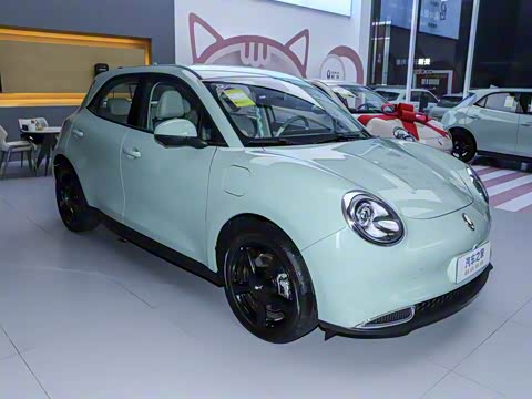 2024�� 401km ������