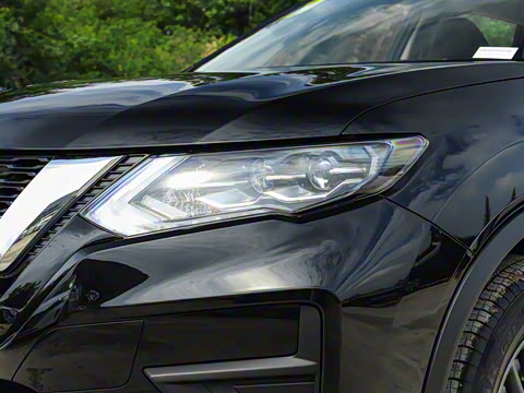 2025�� ���� 2.0L �������Ȱ�