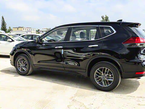 2025�� ���� 2.0L �������Ȱ�