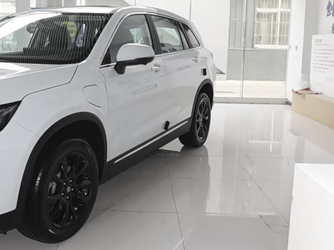 2024�� 520 ��ҫ��