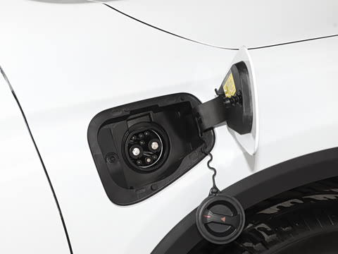 2024�� 520 ��ҫ��