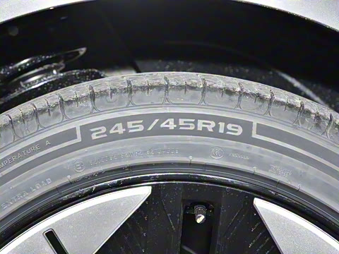 2025�� ���羫Ӣ��