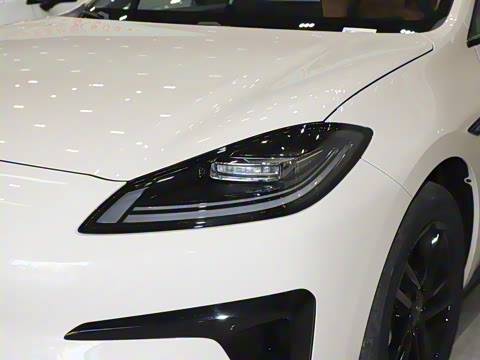 2025�� 520�Ǻ���