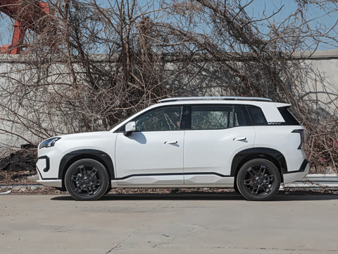 2025�� ���������� 650 ������